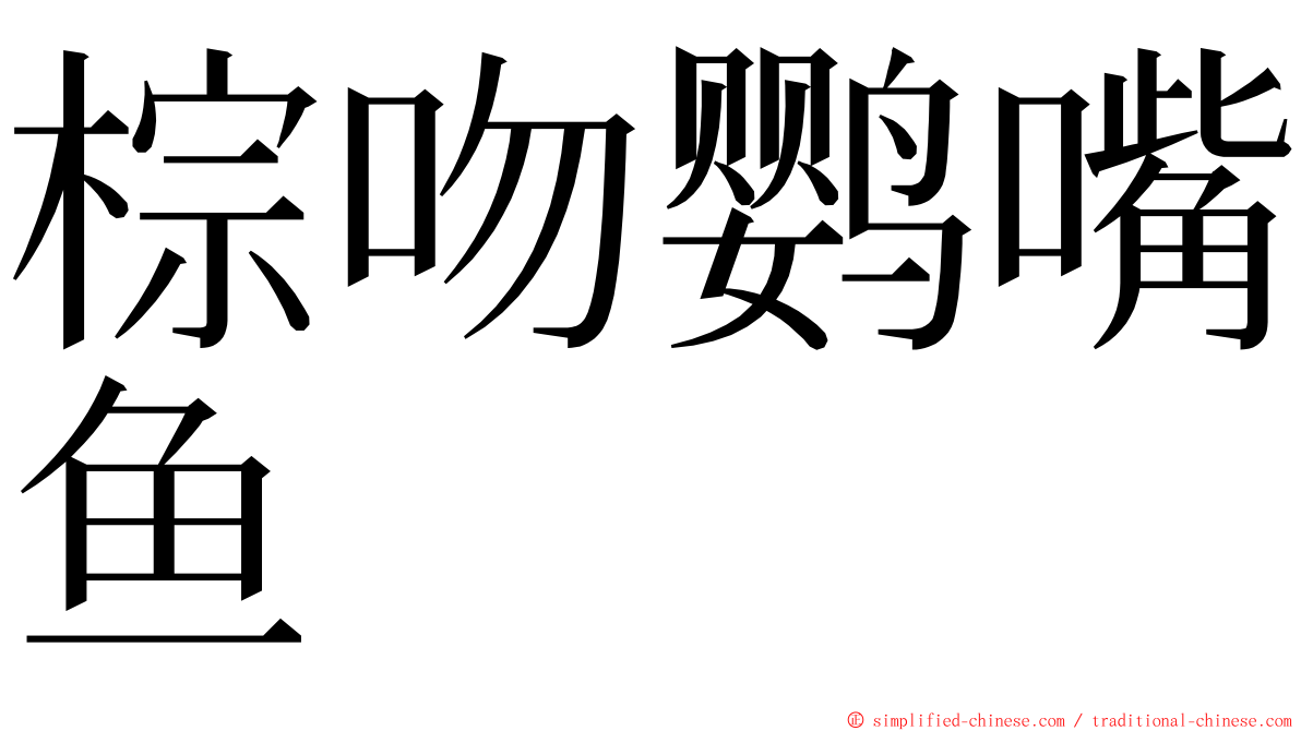 棕吻鹦嘴鱼 ming font