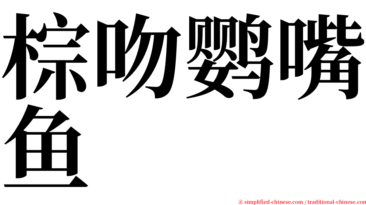 棕吻鹦嘴鱼 serif font