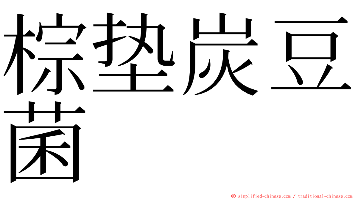 棕垫炭豆菌 ming font