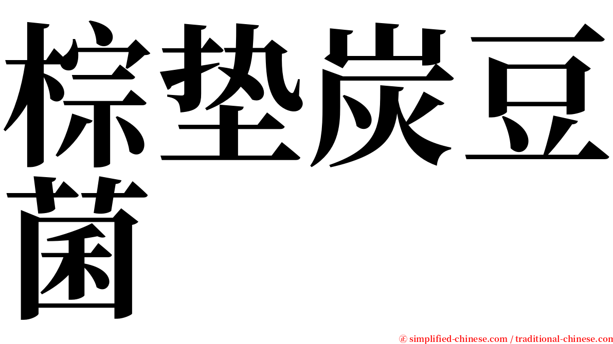 棕垫炭豆菌 serif font