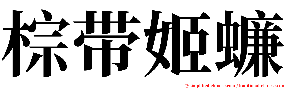 棕带姬蠊 serif font