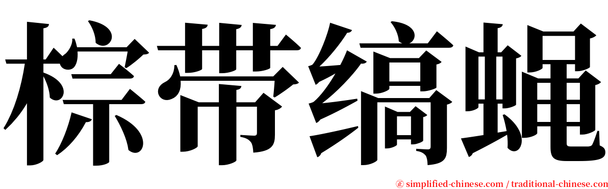 棕带缟蝇 serif font