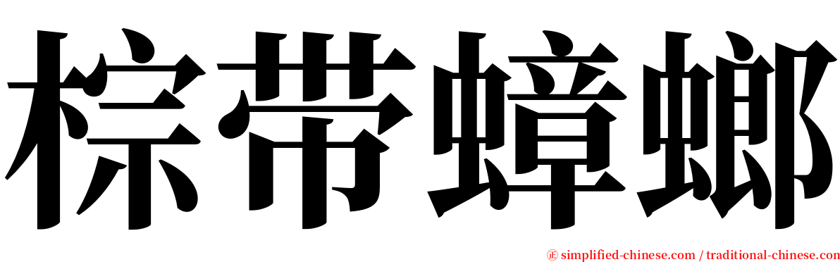 棕带蟑螂 serif font