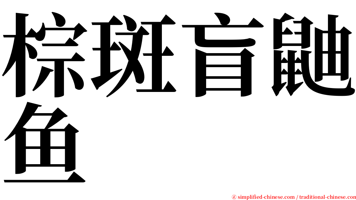 棕斑盲鼬鱼 serif font