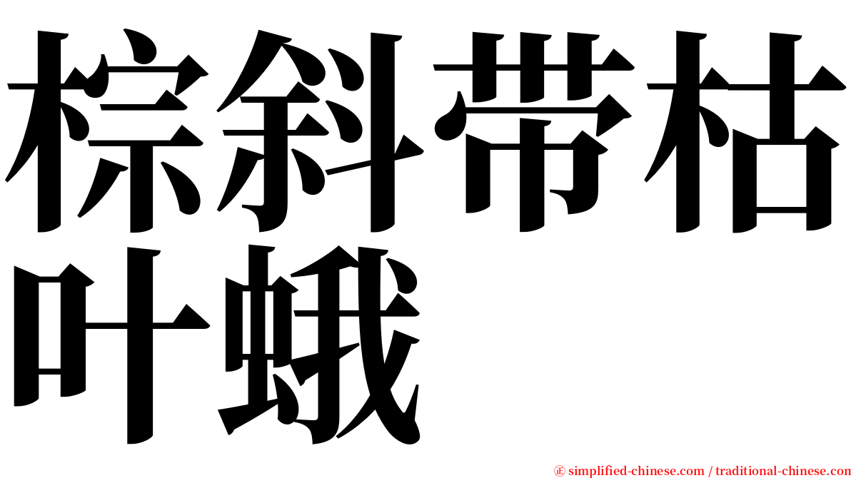 棕斜带枯叶蛾 serif font