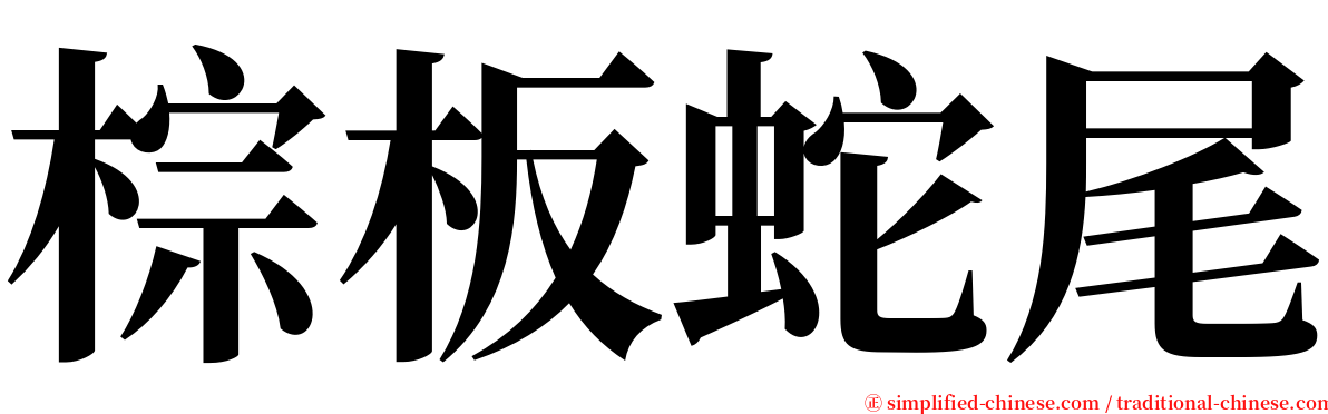 棕板蛇尾 serif font