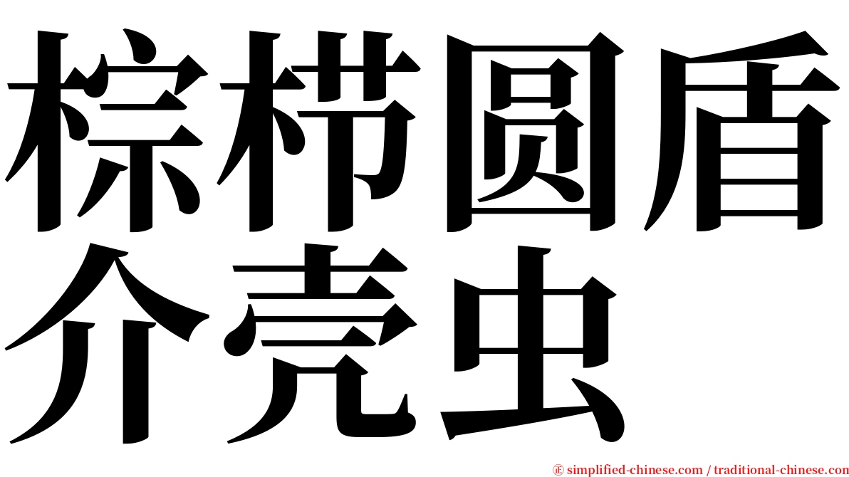 棕栉圆盾介壳虫 serif font