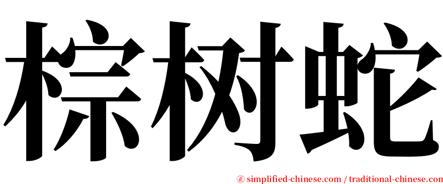 棕树蛇 serif font