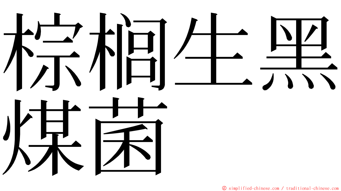棕榈生黑煤菌 ming font