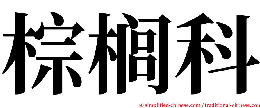 棕榈科 serif font