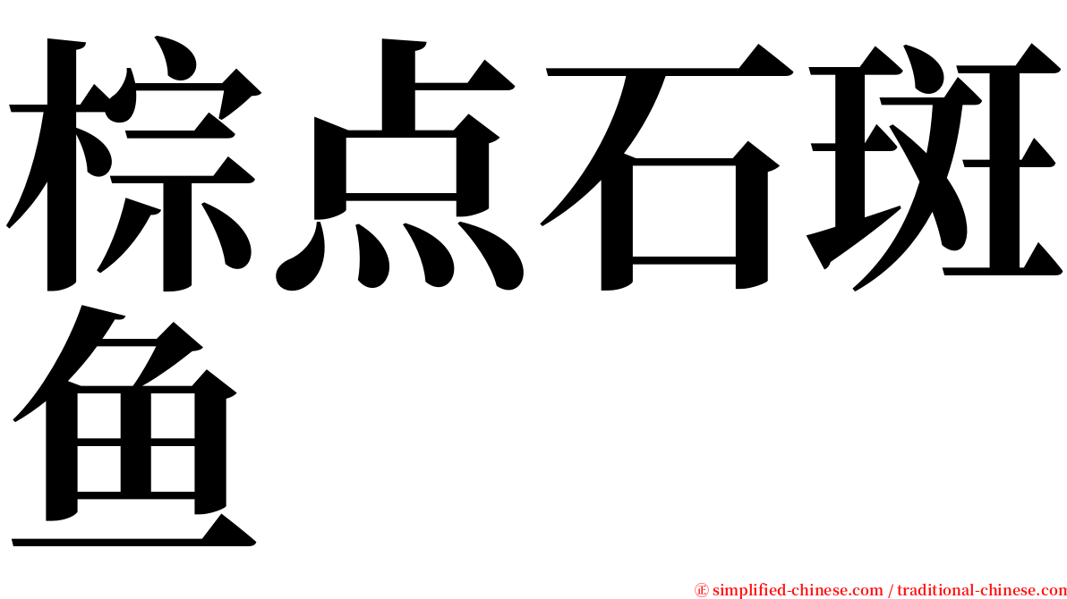 棕点石斑鱼 serif font