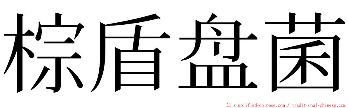 棕盾盘菌 ming font