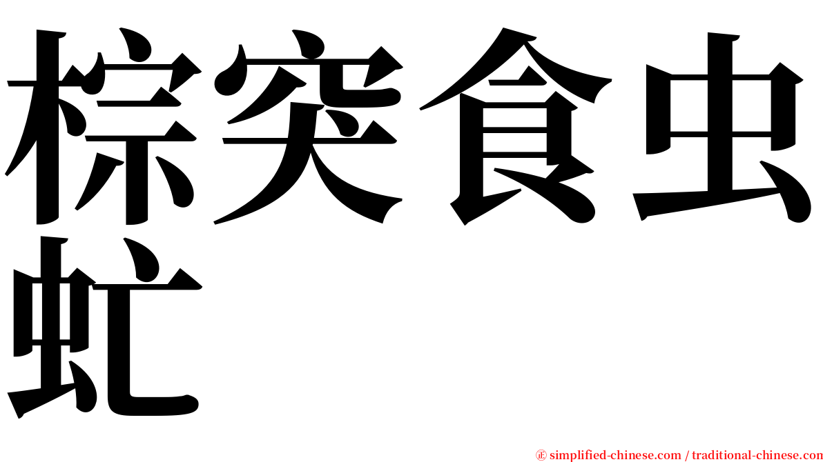 棕突食虫虻 serif font