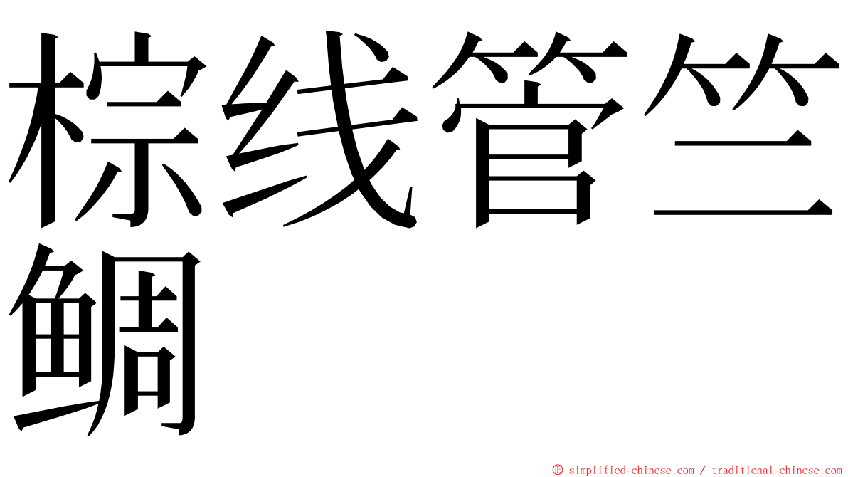 棕线管竺鲷 ming font