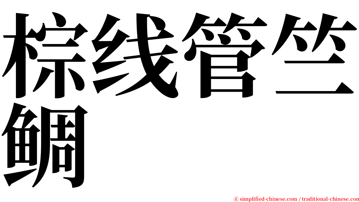 棕线管竺鲷 serif font