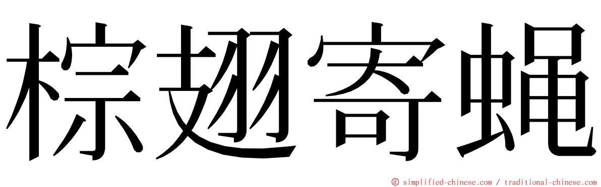 棕翅寄蝇 ming font