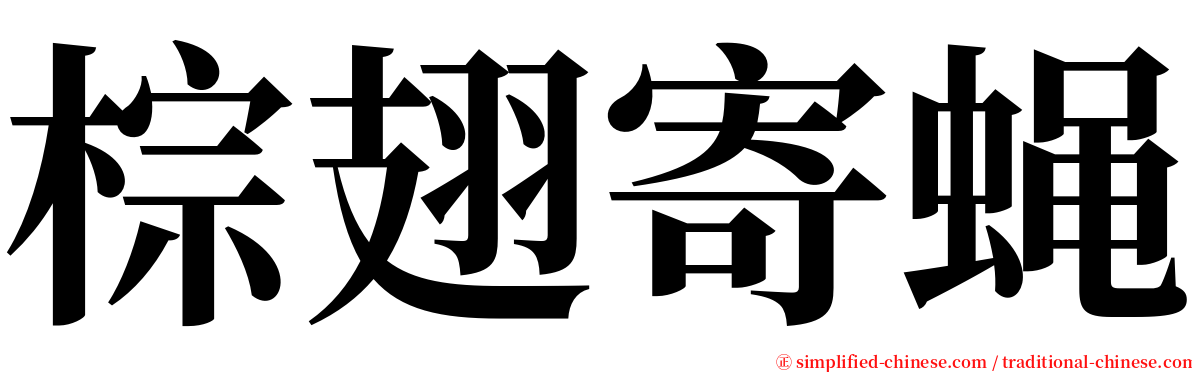 棕翅寄蝇 serif font