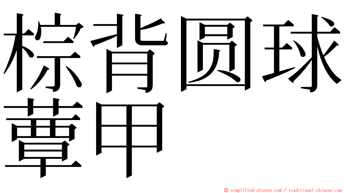 棕背圆球蕈甲 ming font