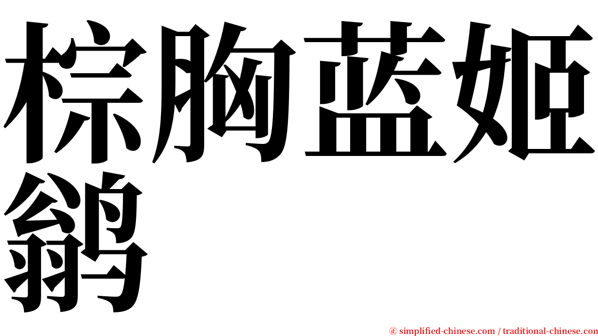 棕胸蓝姬鹟 serif font