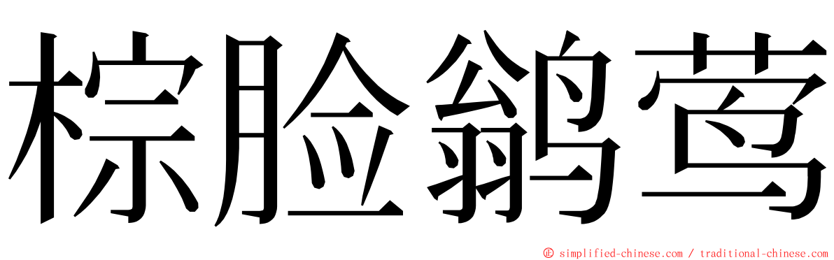 棕脸鹟莺 ming font