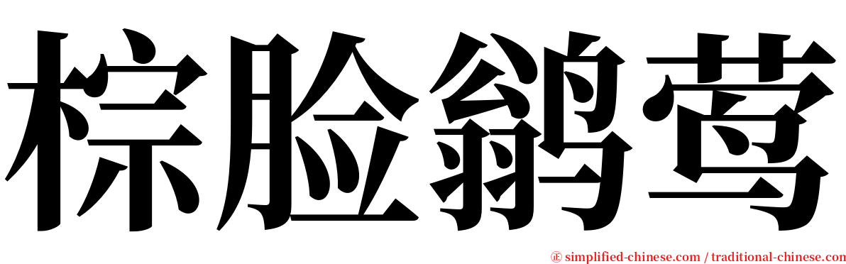 棕脸鹟莺 serif font