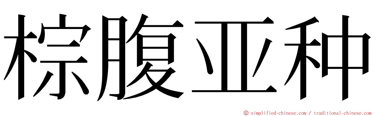 棕腹亚种 ming font