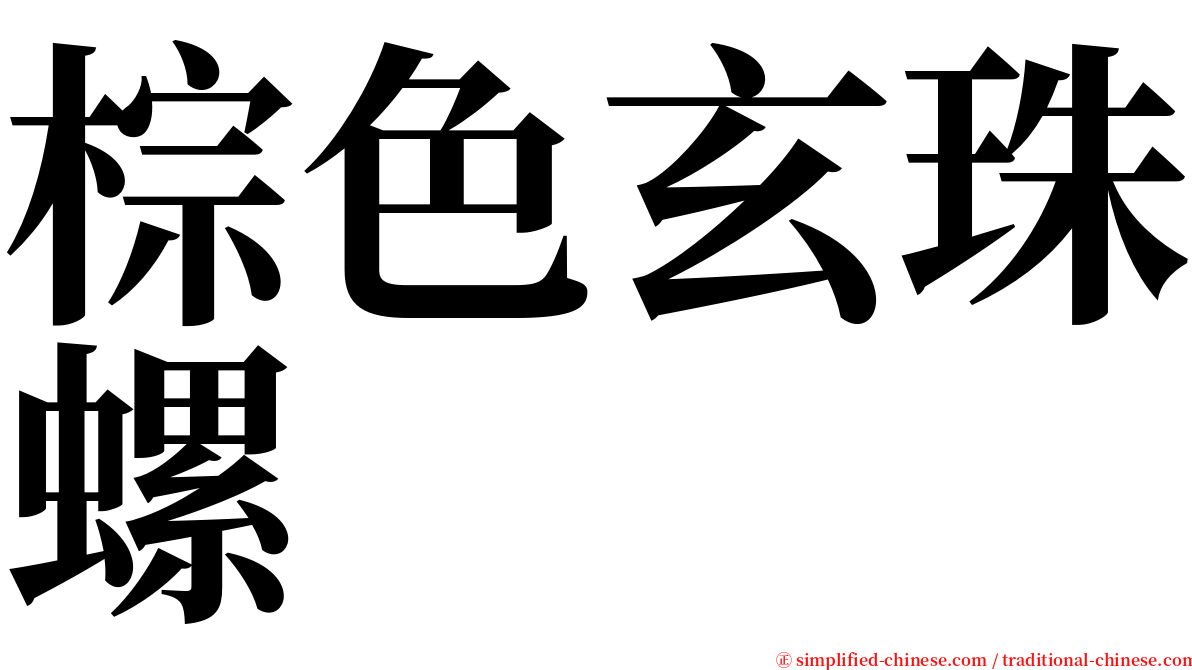 棕色玄珠螺 serif font