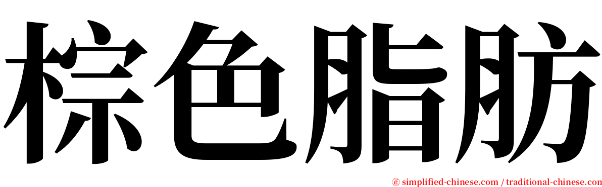 棕色脂肪 serif font