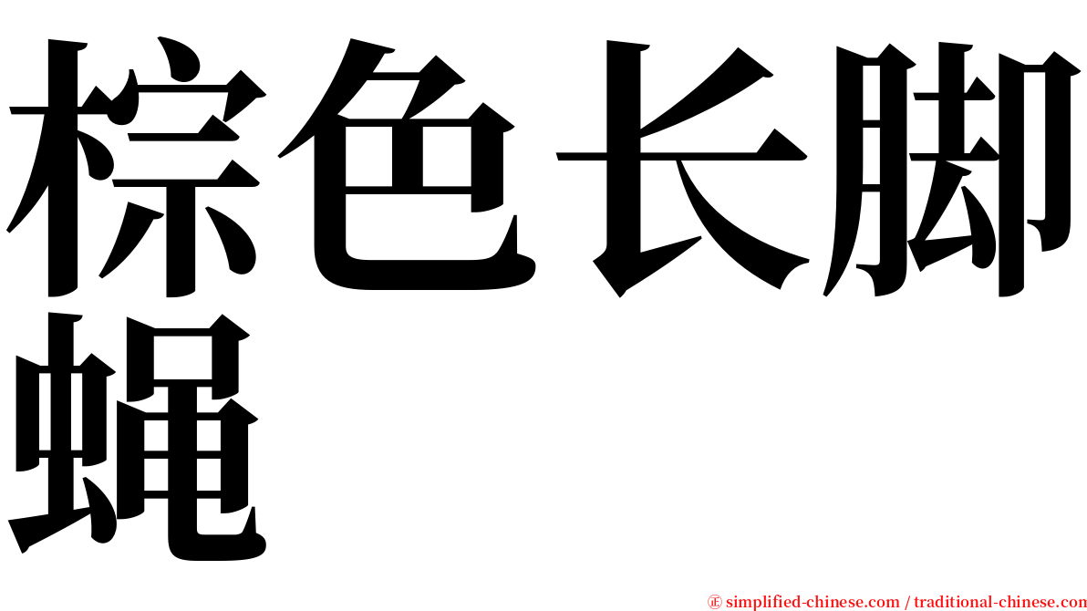 棕色长脚蝇 serif font