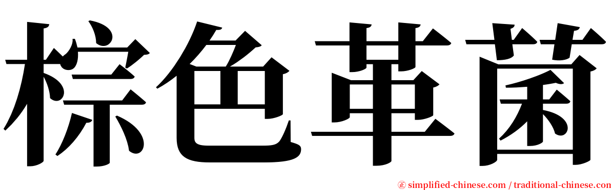 棕色革菌 serif font