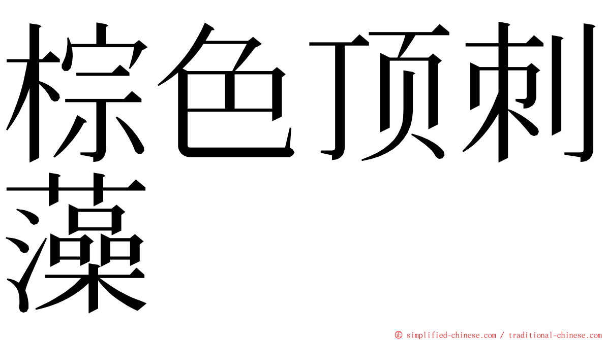 棕色顶刺藻 ming font