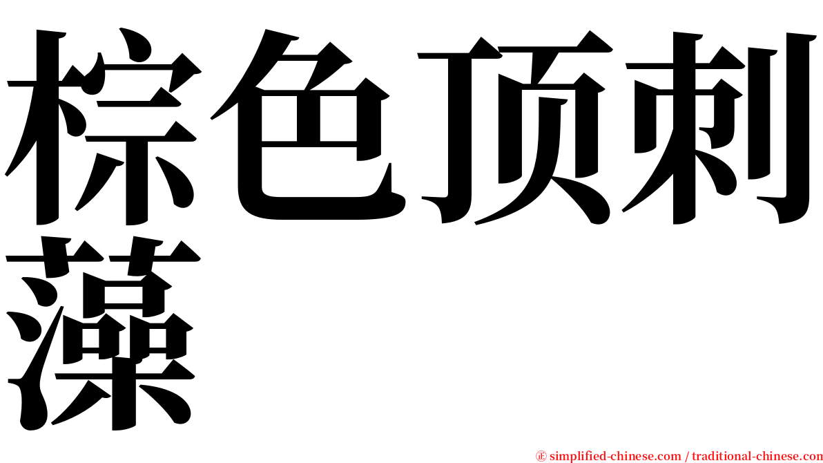 棕色顶刺藻 serif font