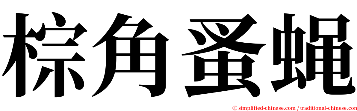 棕角蚤蝇 serif font