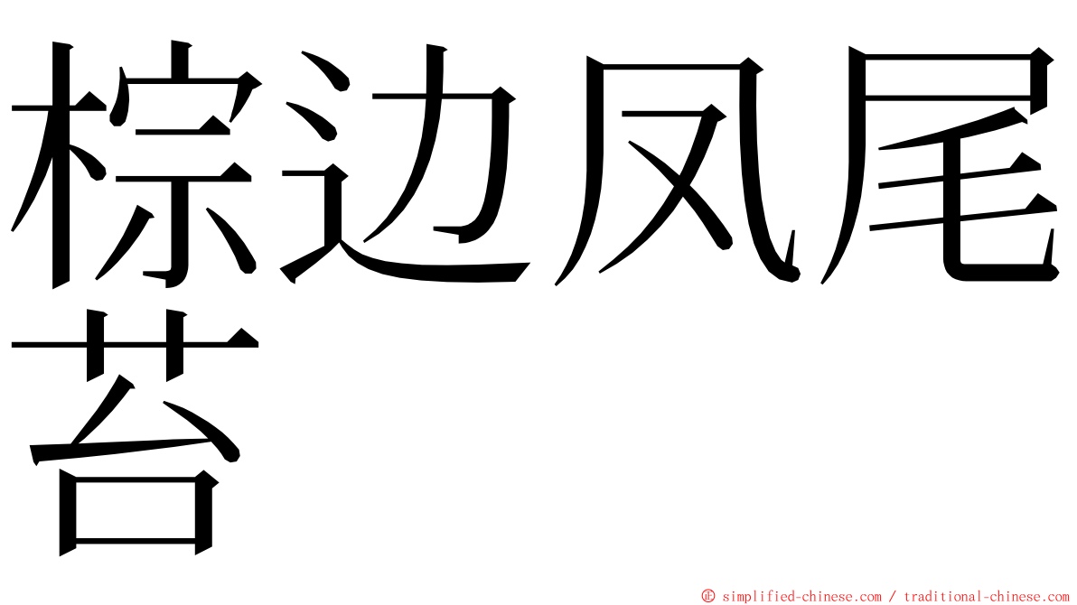 棕边凤尾苔 ming font