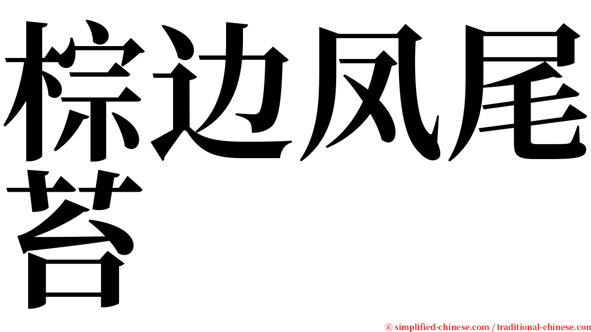 棕边凤尾苔 serif font