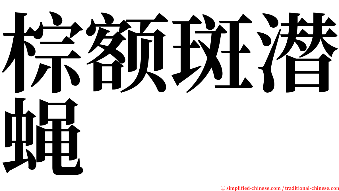 棕额斑潜蝇 serif font