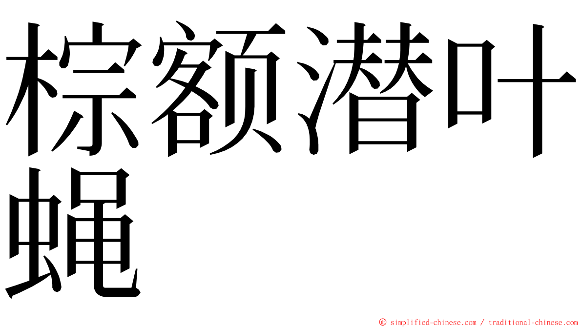 棕额潜叶蝇 ming font