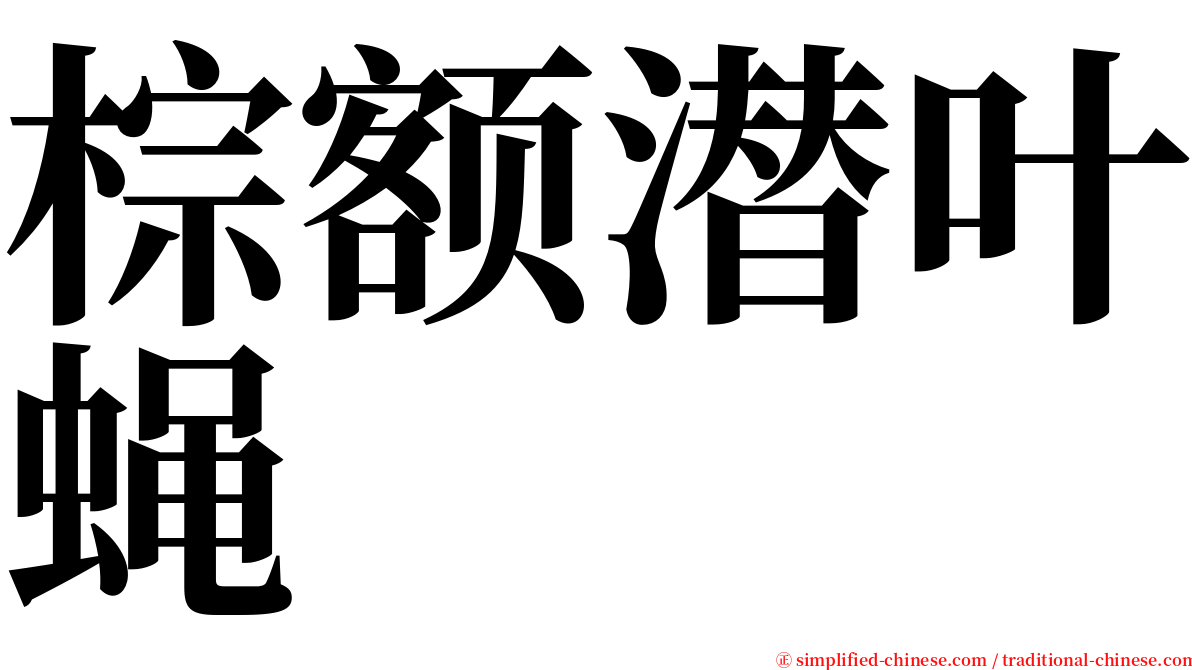 棕额潜叶蝇 serif font