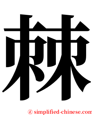 棘 serif font