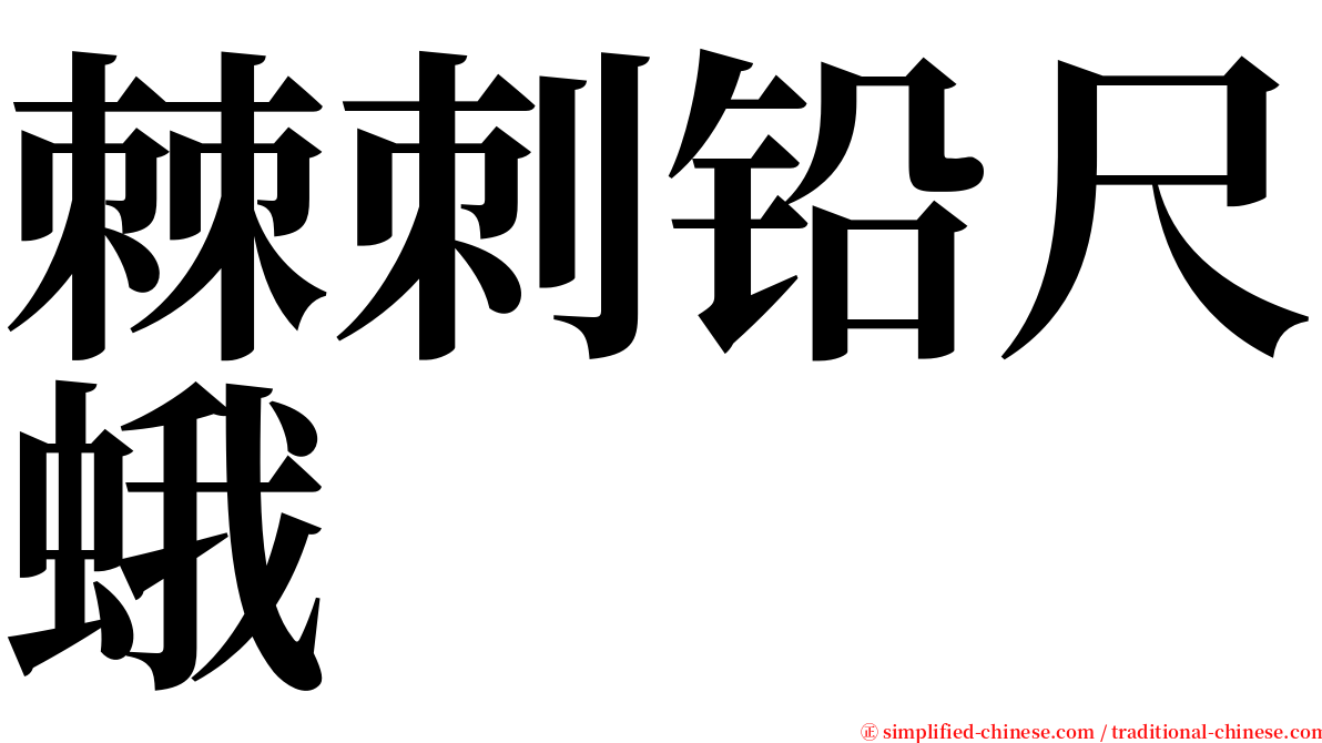 棘刺铅尺蛾 serif font