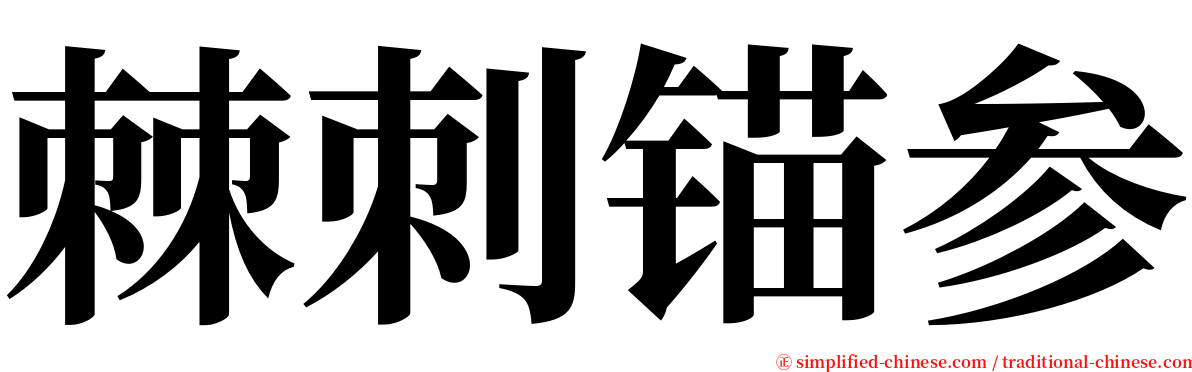 棘刺锚参 serif font