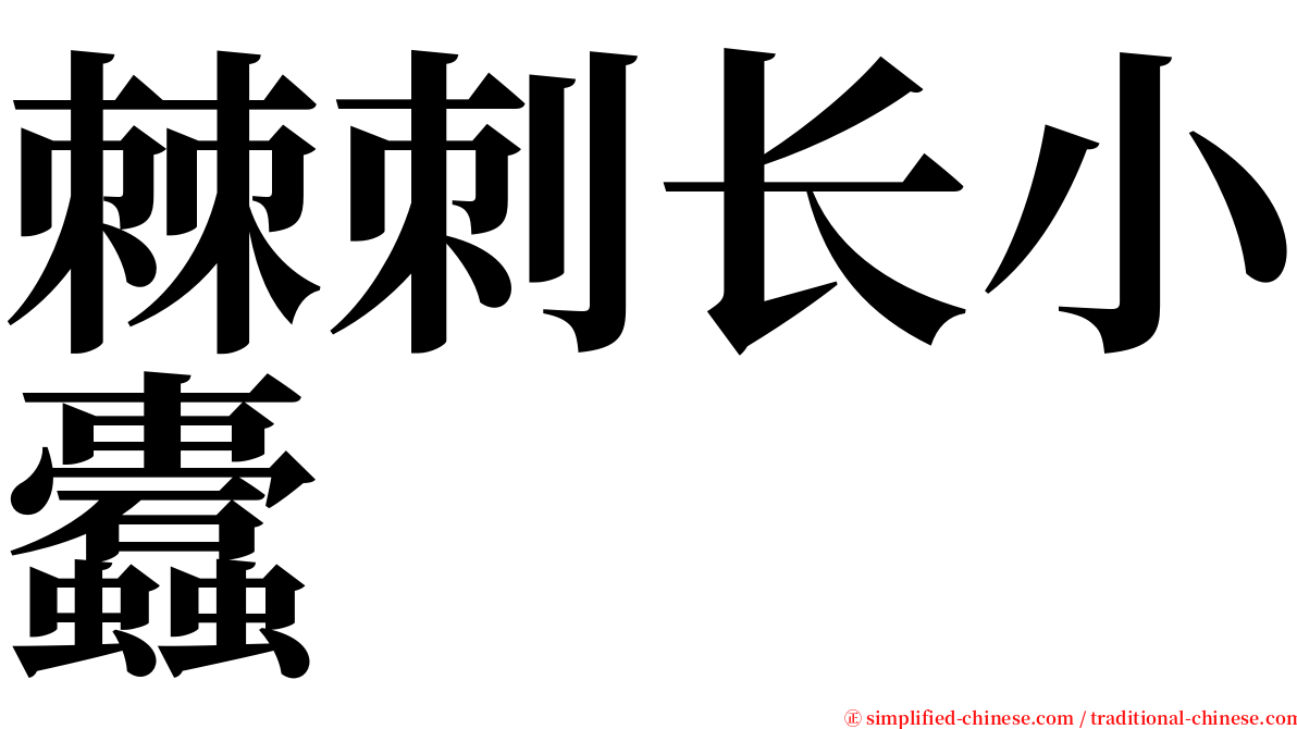 棘刺长小蠹 serif font