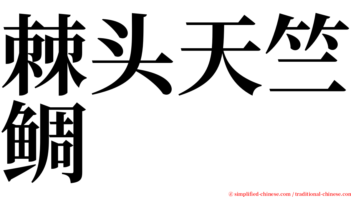 棘头天竺鲷 serif font