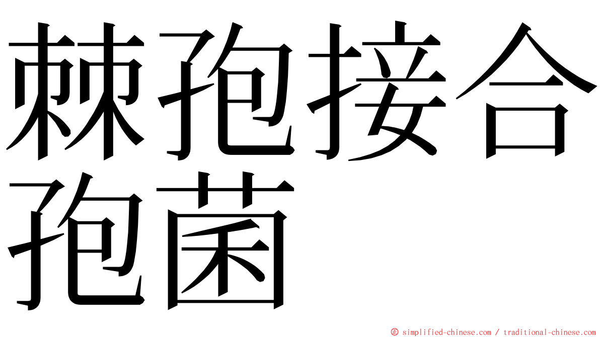 棘孢接合孢菌 ming font