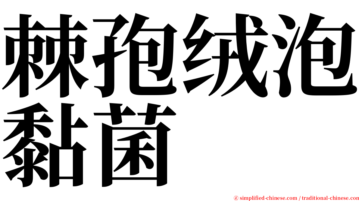 棘孢绒泡黏菌 serif font