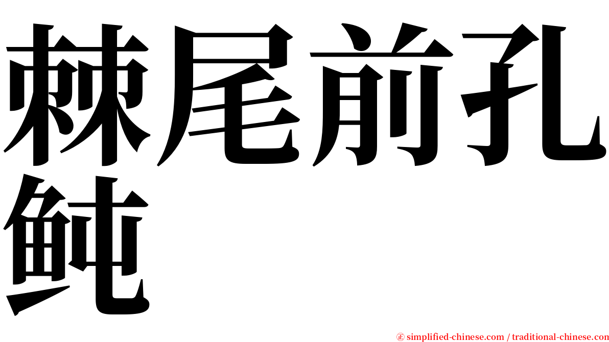 棘尾前孔鲀 serif font