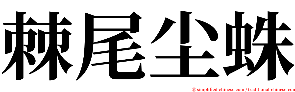 棘尾尘蛛 serif font