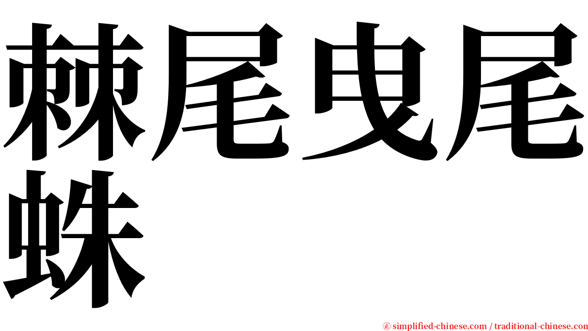 棘尾曳尾蛛 serif font