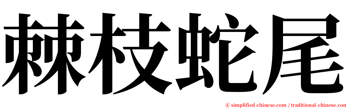 棘枝蛇尾 serif font