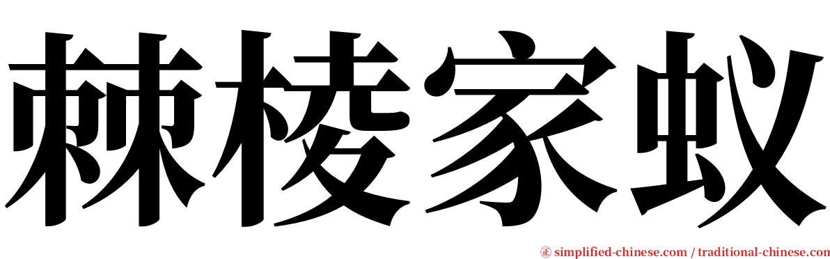 棘棱家蚁 serif font